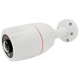 PN-A2-B2.1 v.9.8.1 Видеокамера мультиформатная цилиндрическая PN-A2-B2.1 v.9.8.1 Polyvision
