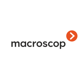 Лицензия на работу с 1 IP-камерой MACROSCOP ST (х64) MACROSCOP