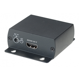 HC01 Преобразователь формата HDMI в Composite Video SC&T