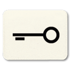 33 T Вставка с символом "ключ" Eff-Eff