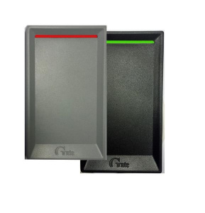 Gate-Reader-MF Считыватель Равелин
