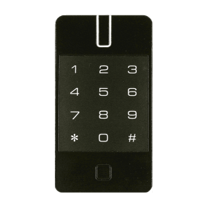 Gate-IP-Combo (IP200) Сетевой контроллер Равелин