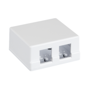 EC-UWO-2KJ-WT-10 Корпус настенной розетки NETLAN