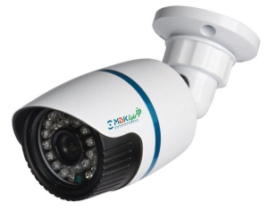 МВК-LIP 1024 Street (3,6) IP-камера уличная БайтЭрг