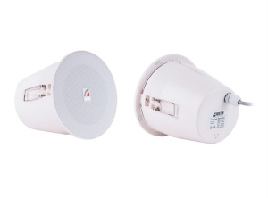 PA-06WPT Громкоговоритель потолочный ROXTON