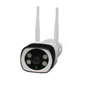 ACE-PCB20 Видеокамера IP цилиндрическая EverFocus