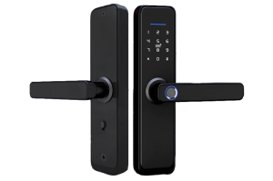 ALFL-17BL Замок электромеханический врезной биометрический Alarmico