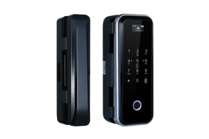 ALFL-06BW Замок электромеханический накладной биометрический Alarmico