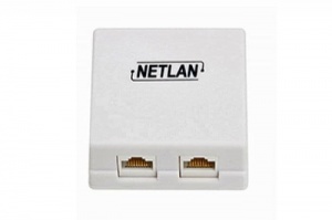 EC-UWO-2-UD2-WT-10 Розетка информационная настенная NETLAN