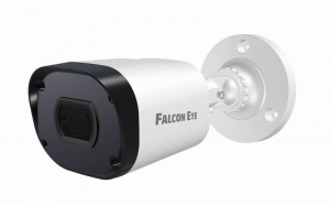 FE-IPC-BP2e-30p Видеокамера IP цилиндрическая Falcon EYE