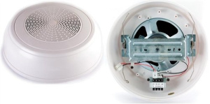 WP-10T Громкоговоритель настенный ROXTON