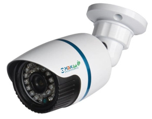 МВК-LIP 1080 Street (3,6) IP-камера уличная БайтЭрг