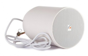 SP-20T Громкоговоритель потолочный ROXTON