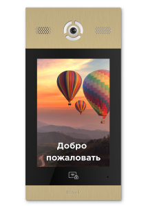 AA-14FB GOLD Вызывная панель подъездного IP-домофона BAS-IP