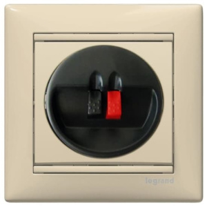 774123 Розетка Слоновая кость Legrand Valena для динамиков 1-я