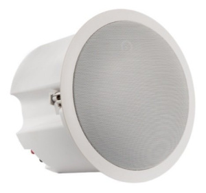 PA-30T Громкоговоритель потолочный ROXTON