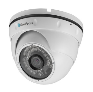 ACE-IAV30 Видеокамера IP купольная EverFocus