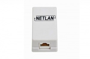 EC-UWO-1-UD2-WT-10 Розетка информационная настенная NETLAN