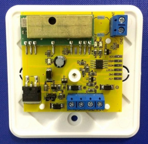 Gate-RX v.3 Считыватель бесконтактный для радиобрелков Равелин