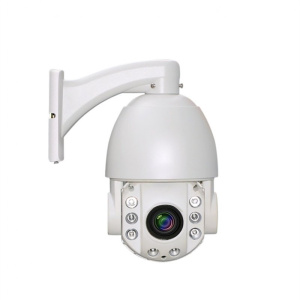 KIP91 Видеокамера IP поворотная Alteron