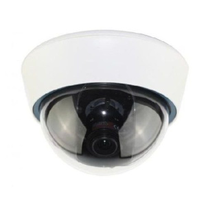 ACE-IEB50P Видеокамера IP купольная EverFocus