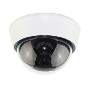 ACE-IOV50X Видеокамера IP купольная EverFocus