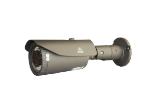 SR-IN40V2812IRL IP-камера уличная SarmatT