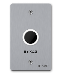 SH-45TR SILVER Кнопка выхода BAS-IP