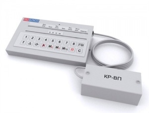 ЭДУ (ВП) " RU БЛЮЗ " Выносной пульт Системсервис